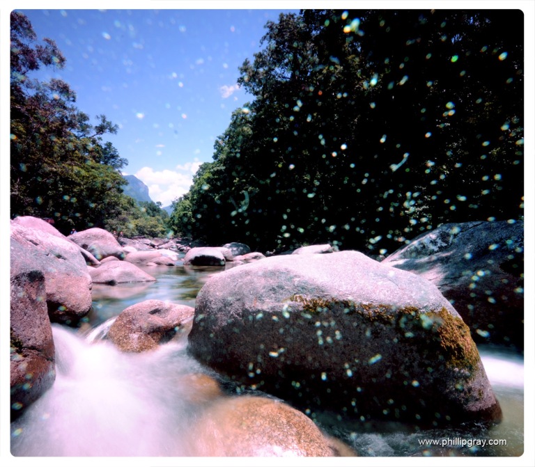 Queensland - Mossman Gorge 1