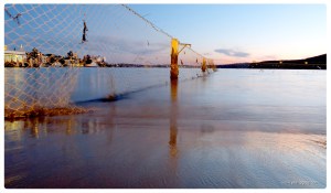 Sydney - Manly West Esplanade 2