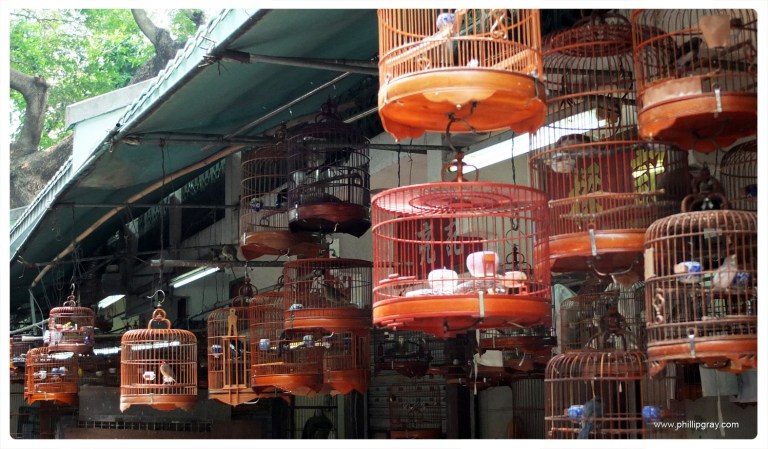 Hong Kong - Bird Market 2
