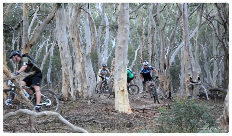 Canberra - Mont 2013 5