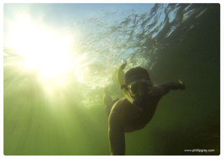 Sydney - Manly Fairlight Snorkling3