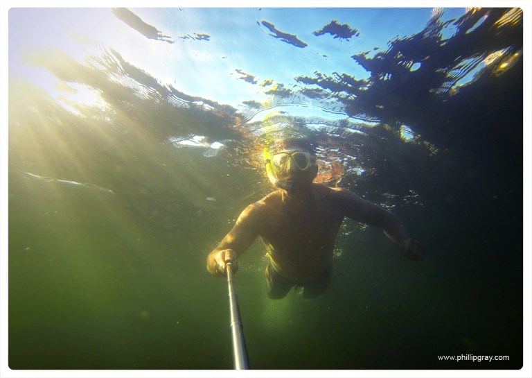Sydney - Manly Fairlight Snorkling4