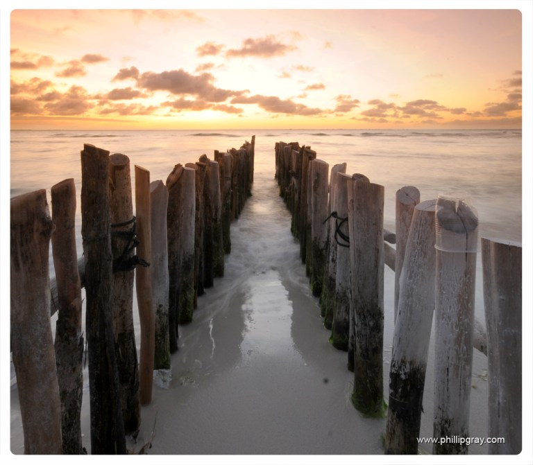 Mexico - Isla Mujures 17