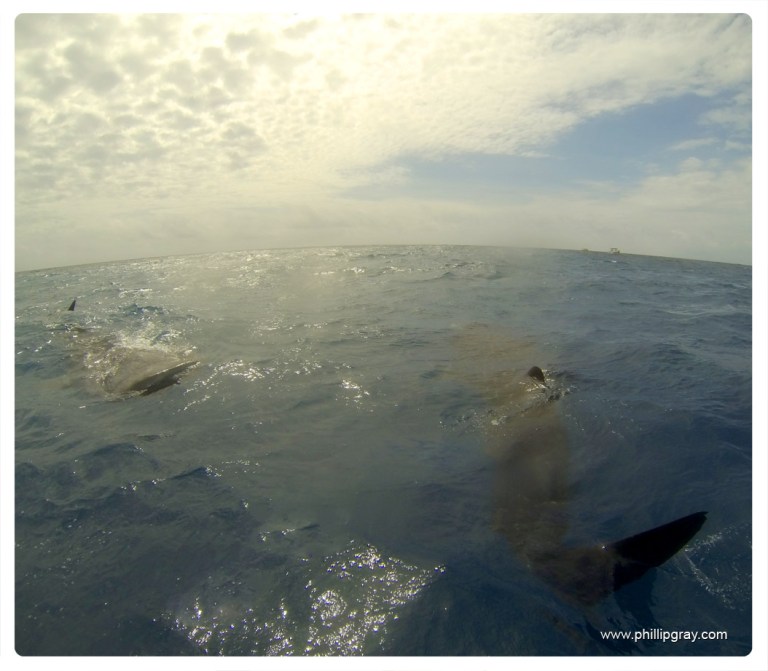 Mexico - Isla Mujures 32