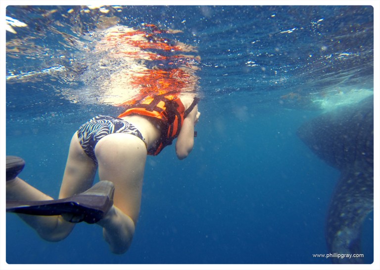 Mexico - Isla Mujures 35