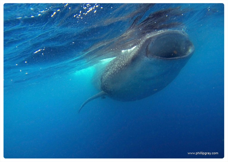 Mexico - Isla Mujures 36