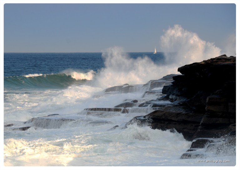 Sydney - South Curly Cliff1