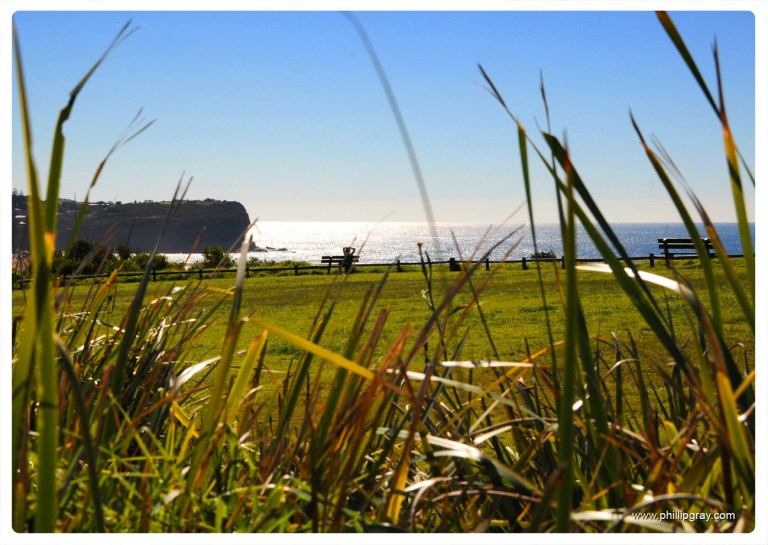 Sydney - Mona Vale - Robert Dunn2