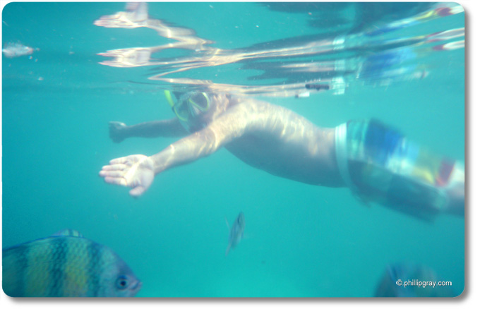 Thailand - Phi Phi SN2