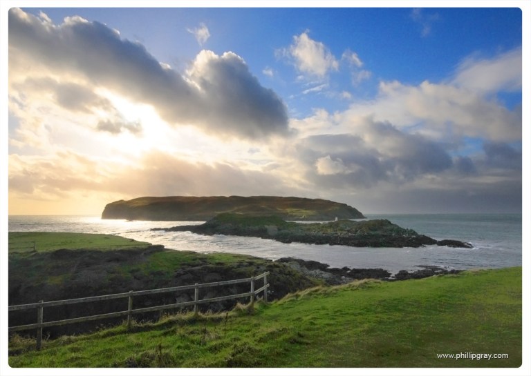 UK - Isle of Man - Calf 1