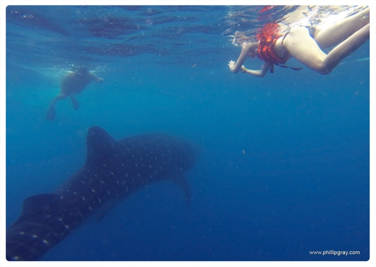 Mexico - Isla Mujures 40