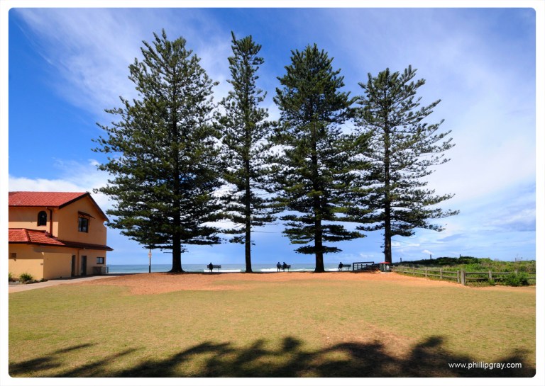 Sydney - Newport Beach5