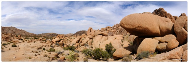 USA - CA - Joshua Tree NP 16
