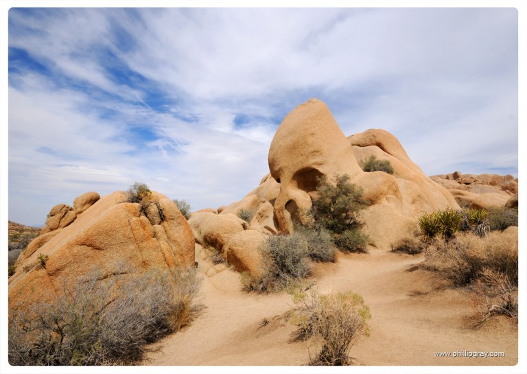 USA - CA - Joshua Tree NP 2