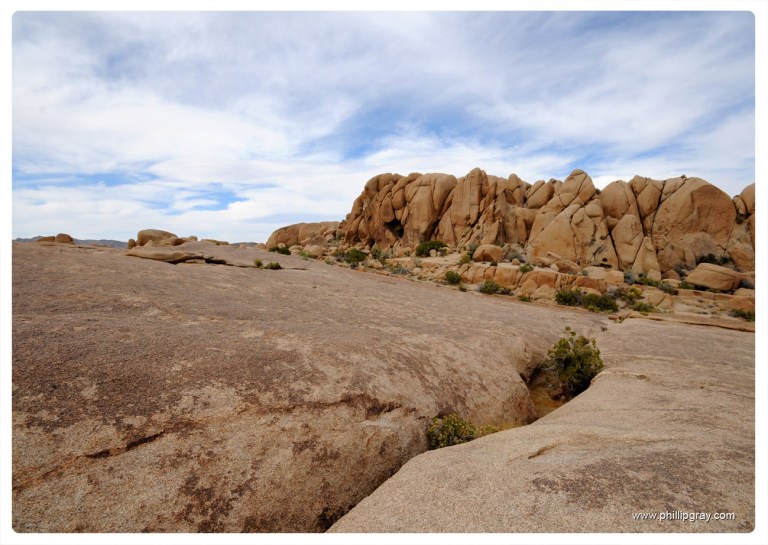 USA - CA - Joshua Tree NP 4